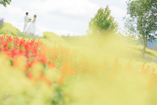 オトナのウェディングフォト 札幌 Cinderella Story Wedding photo