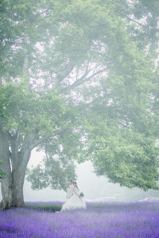 オトナのウェディングフォト 札幌 Cinderella Story Wedding photo_夏のロケーションフォト