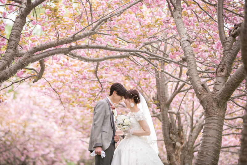 【桜、さくら、サクラプラン和洋各1点】歩いて行けるスタンダード（アルバム10P＆色補正肌レタッチ済データ220＋30カット）