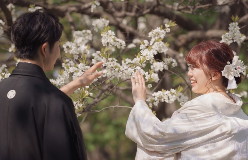 【桜、さくら、サクラプラン和洋各1点】歩いて行けるスタンダードデータプラン（色補正肌レタッチ済データ220＋30カット）