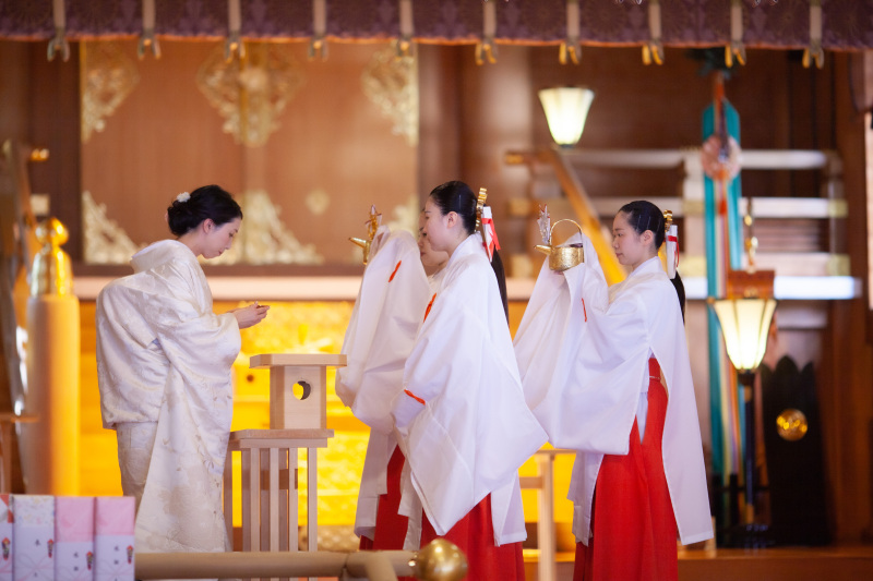 【北海道神宮挙式プレミアム・神宮写真室+オトナフォト】挙式&境内・神宮の杜ロケーションフォト