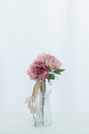 プリマピオニー