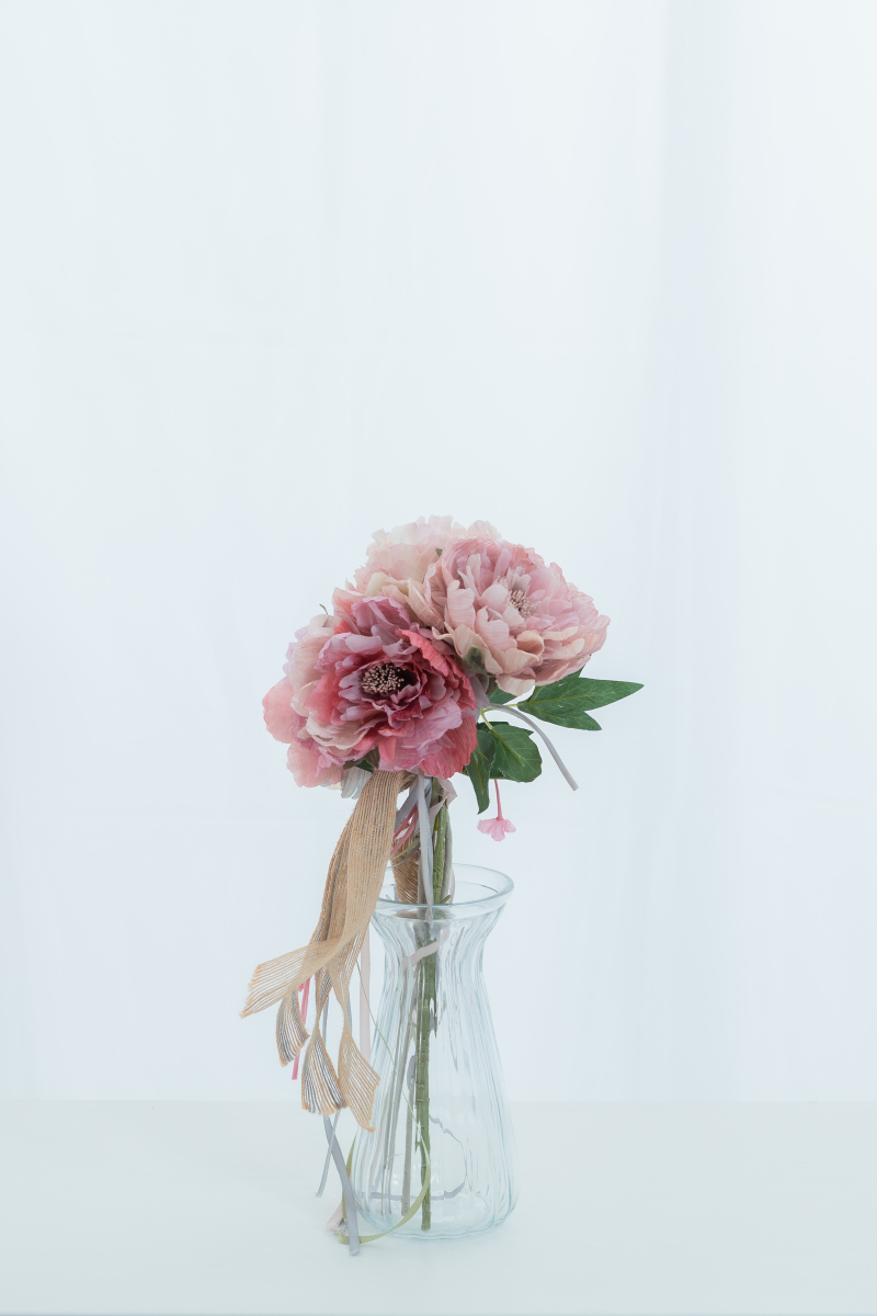 プリマピオニー