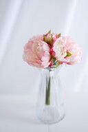 ピンクピオニー