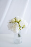 ホワイトピオニー