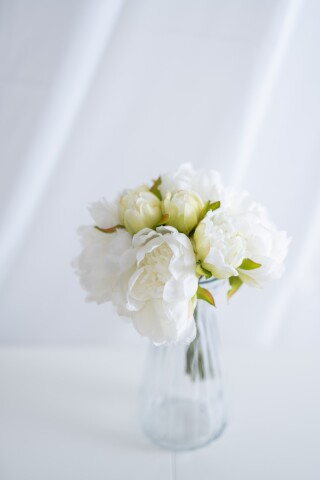 ホワイトピオニー