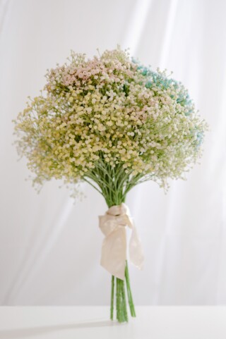 かすみ草（レインボー）