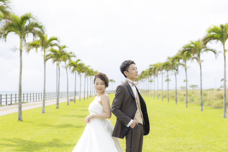 ヤシの木と一緒に