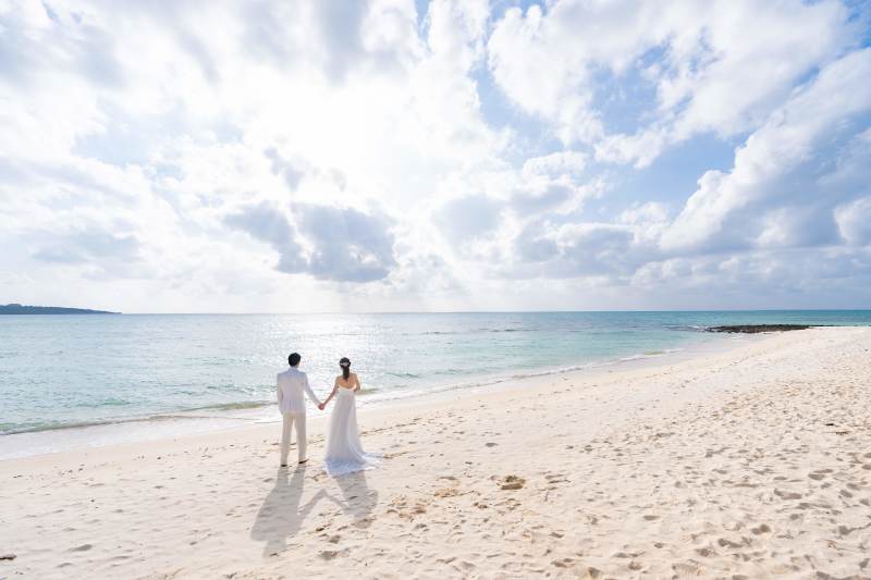 美しい白の詰まった一枚