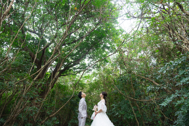 深い緑の静寂に抱かれて。瞳を閉じ、心で響き合う愛