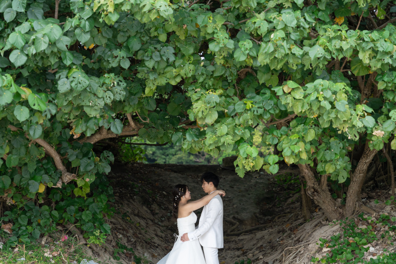 瑞々しい緑のベール。木漏れ日に祝福される幸せの時