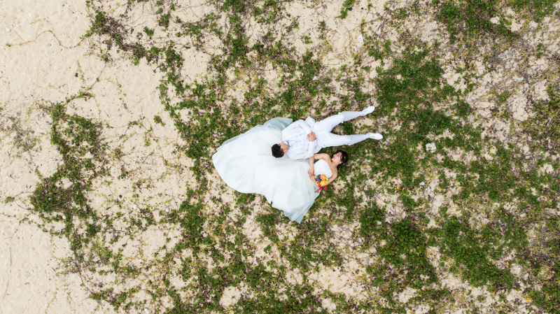 空から見守る、愛の幾何学。緑と白が織りなすアート