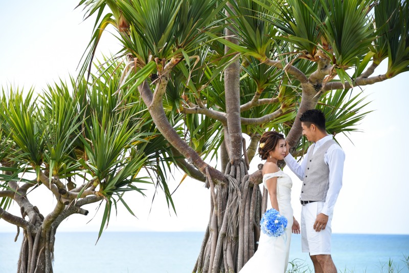 南国の雰囲気のなか