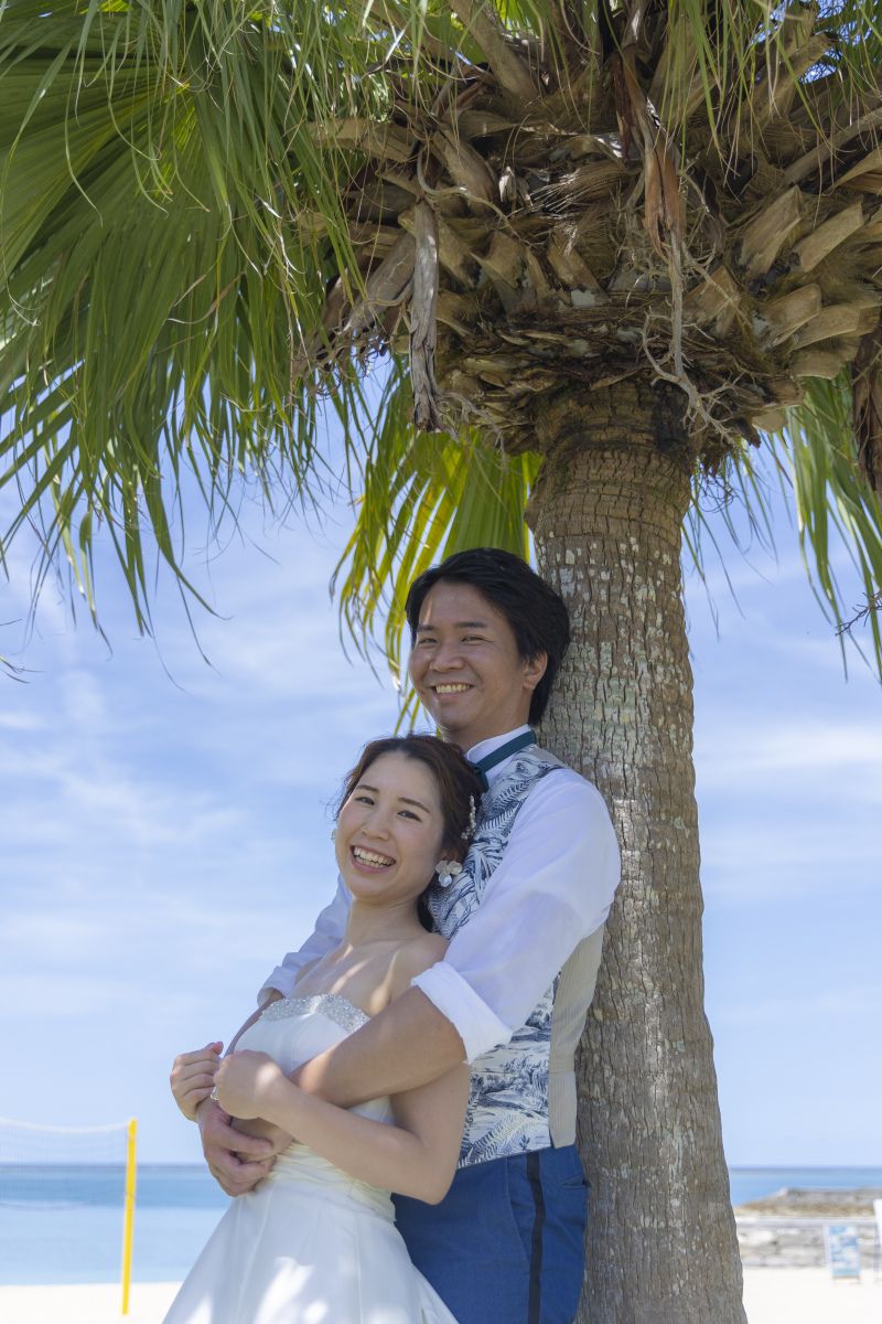 ヤシの木と一緒に