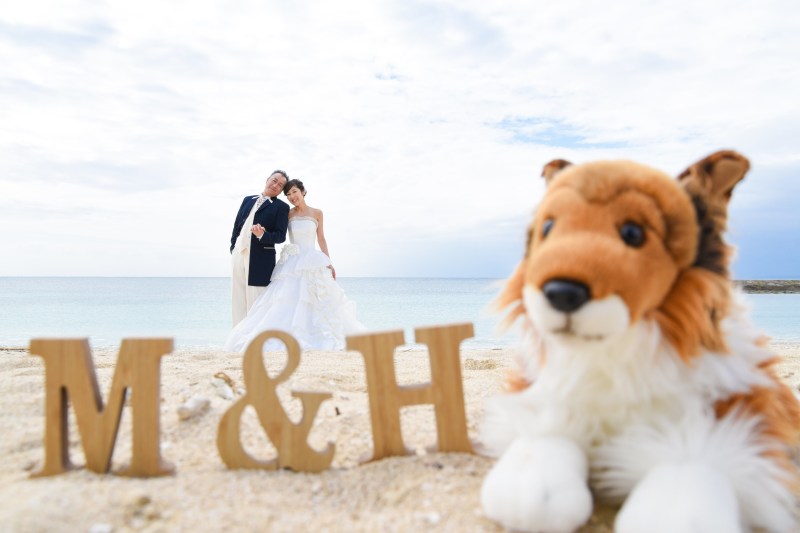 大好きなワンちゃんと一緒に★