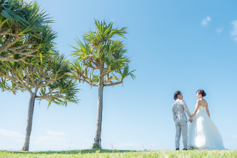 素晴らしい爽やかさ♪