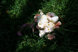 潮騒と光が織りなす純白の物語。色彩の旋律が響き合う、あの日の想いをここに記録して