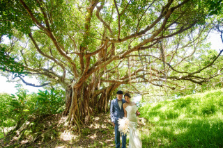 グリーン＆ウェディング