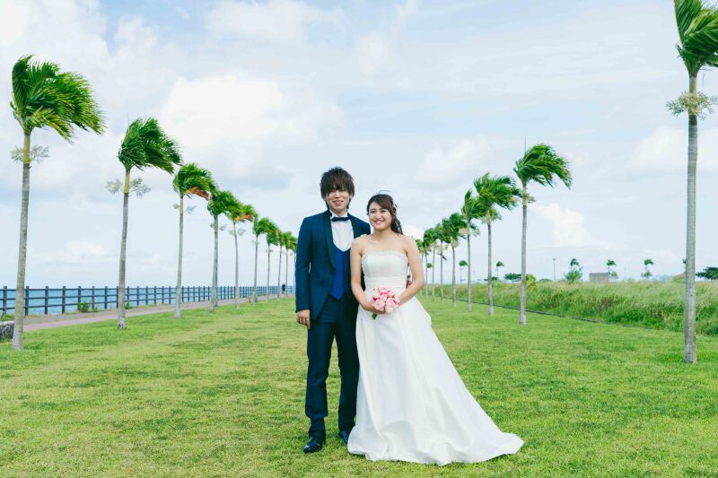 ヤシの木ショット