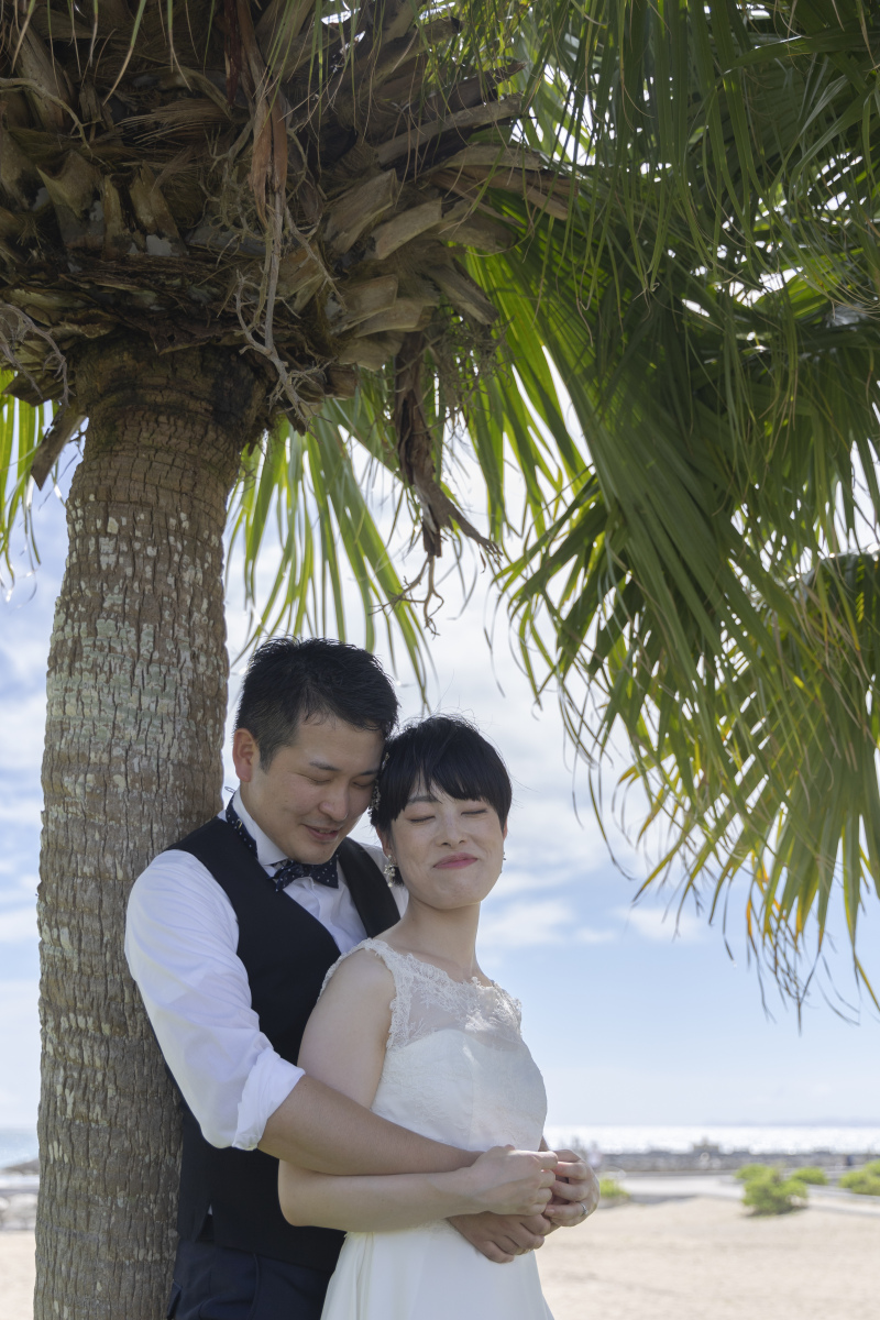 ヤシの木と一緒に