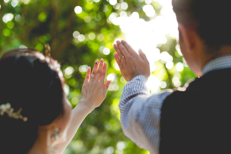 太陽にかざして
