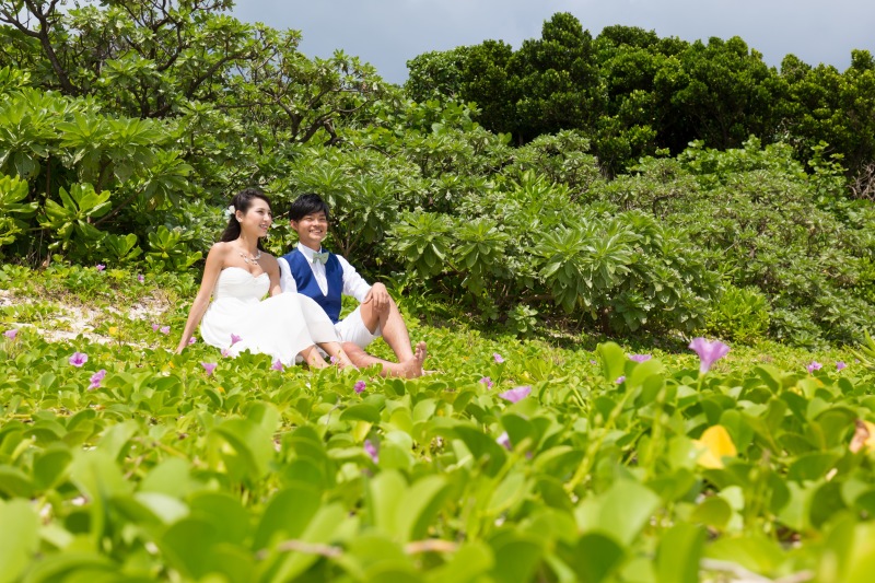 柔らかい緑の絨毯♡