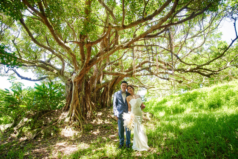 ガジュマルの木と私たち