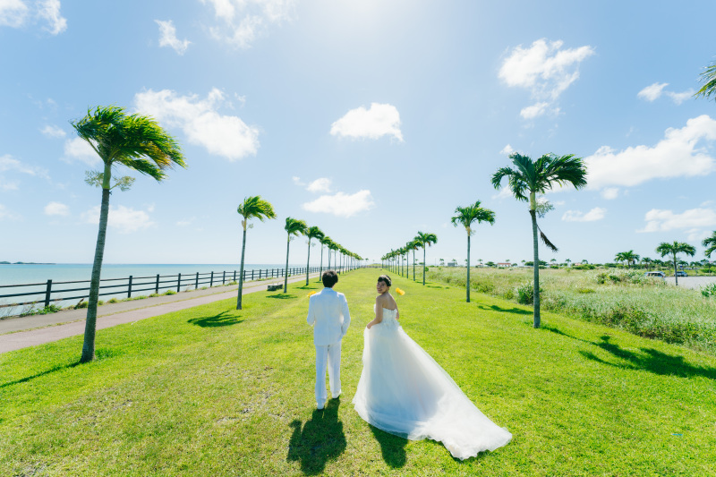 太陽とヤシの木