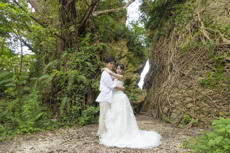 自然を感じるショット