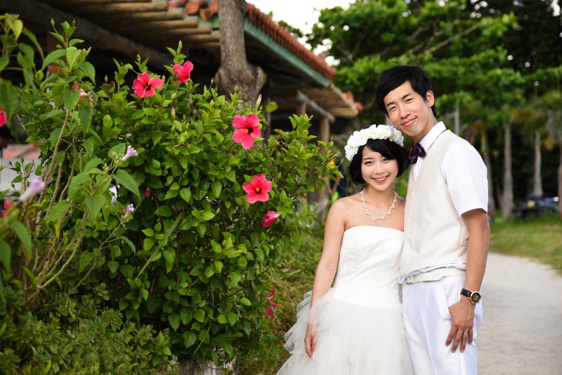 ハイビスカスと