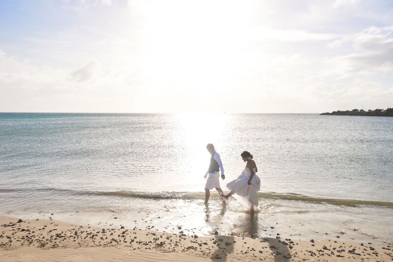 太陽に照らされて