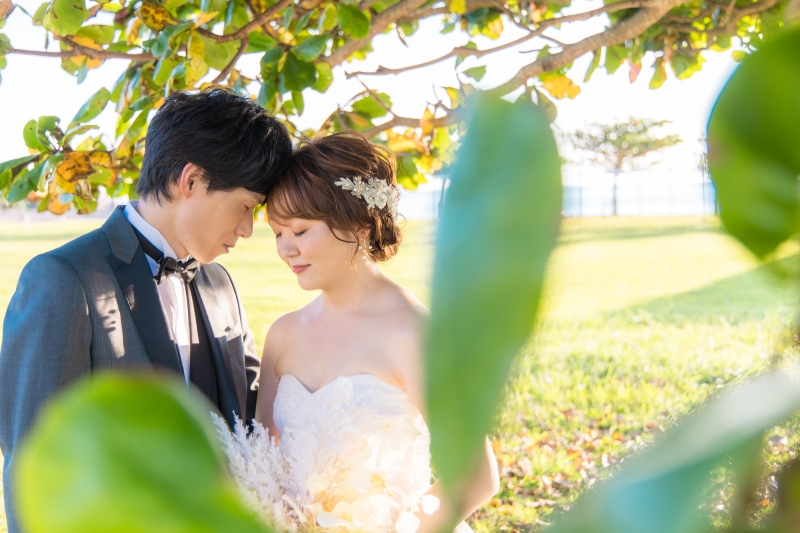 夢のような一日