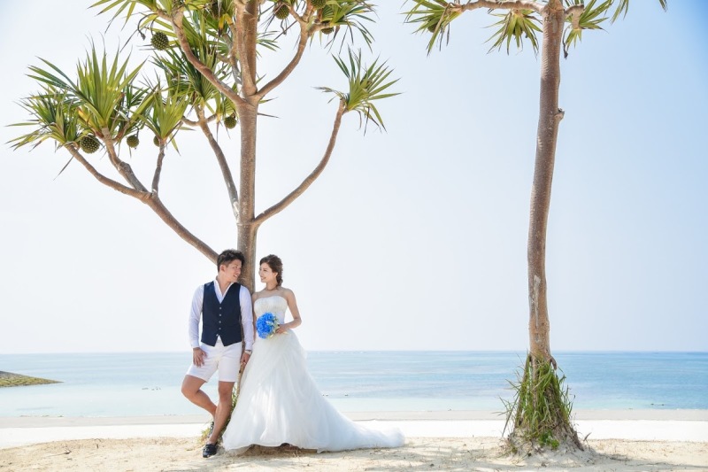 ヤシの木に寄りかかって…