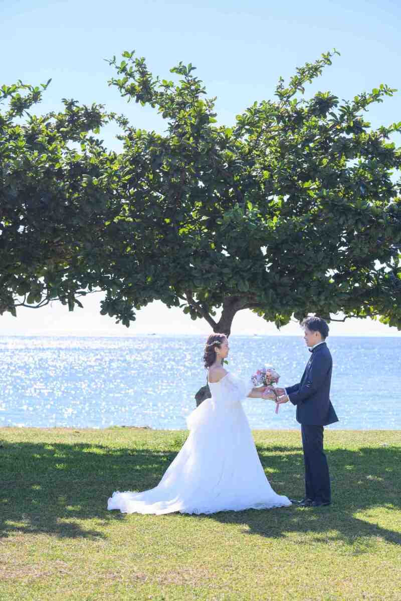 木陰に広がる緑と海が彩る、穏やかな時間
