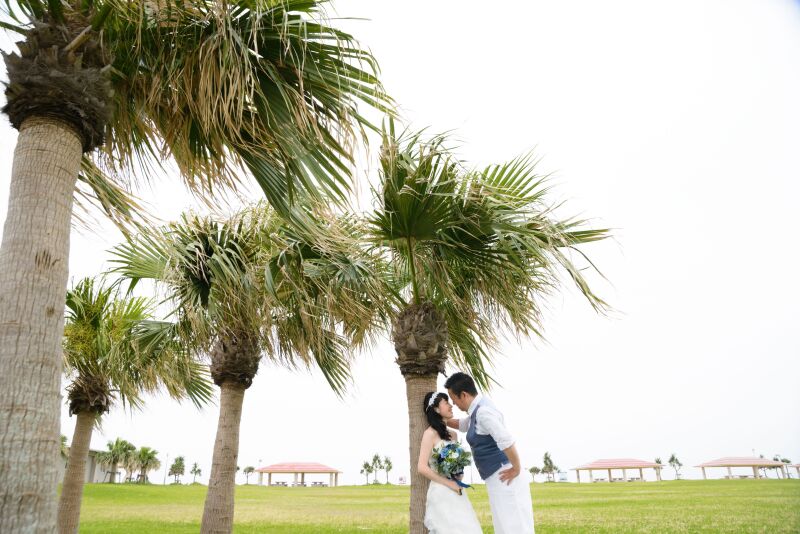 クールなショット