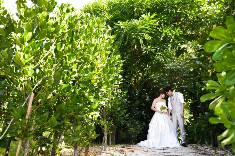 フクギ並木で☆