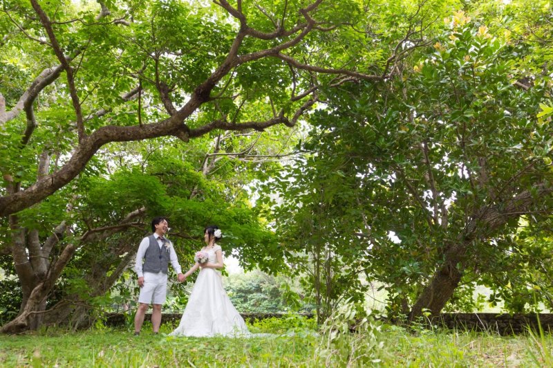 グリーンの中で撮影