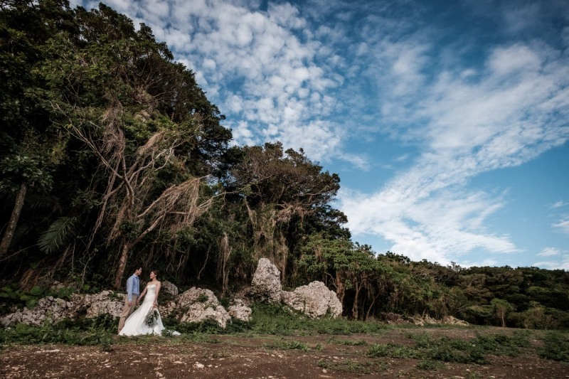 まるで絵のような美しさ