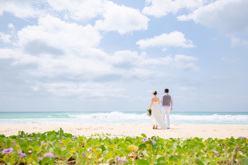 青と緑のコントラスト