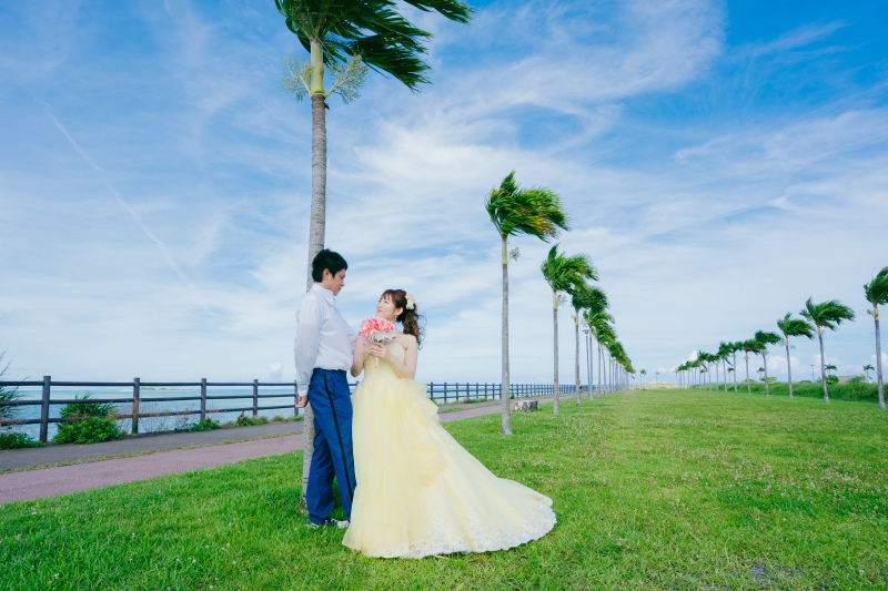 心地よい風が吹く日