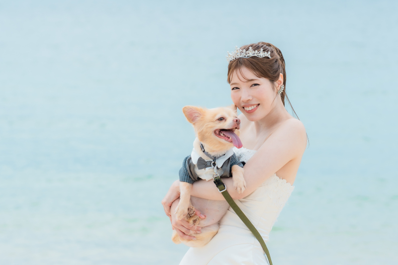 新婦様と!笑顔がつながる、わんこと過ごす結婚写真