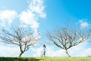 ロケ地オプション-南部・スタジオ近隣-