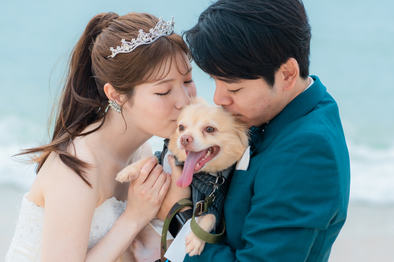 20以上ある撮影シーン