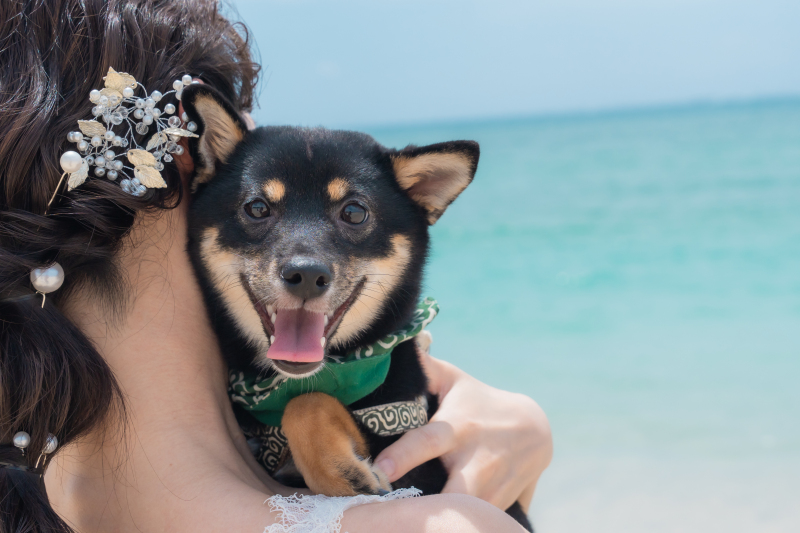 ペットと一緒に撮影OK！ビーチ＆グリーン＆スタジオ撮影特典【10月末までの撮影で7大特典プレゼント！】