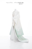 胡蝶蘭ミントぼかし