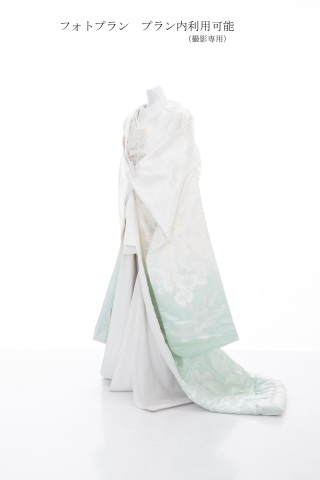 胡蝶蘭ミントぼかし