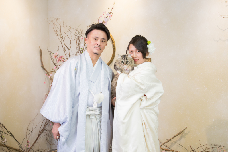 愛ネコちゃんと