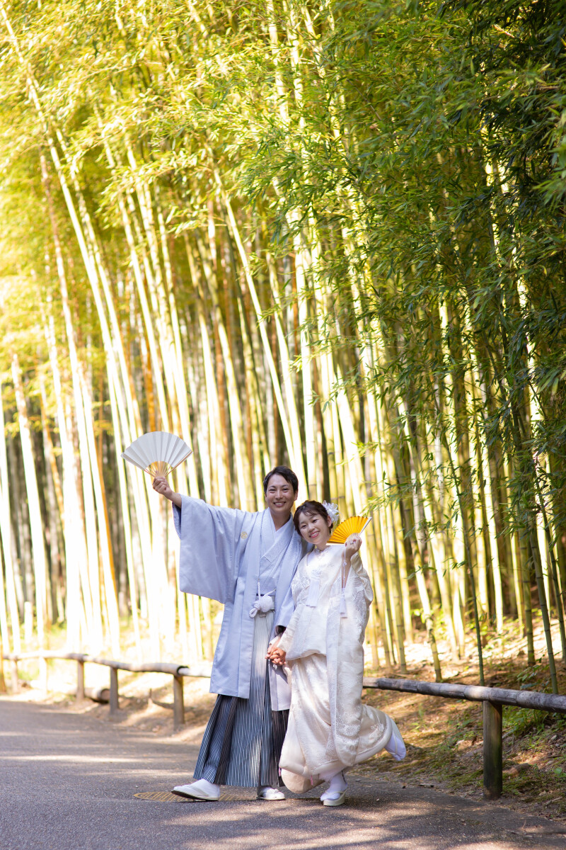 情緒あふれる竹林