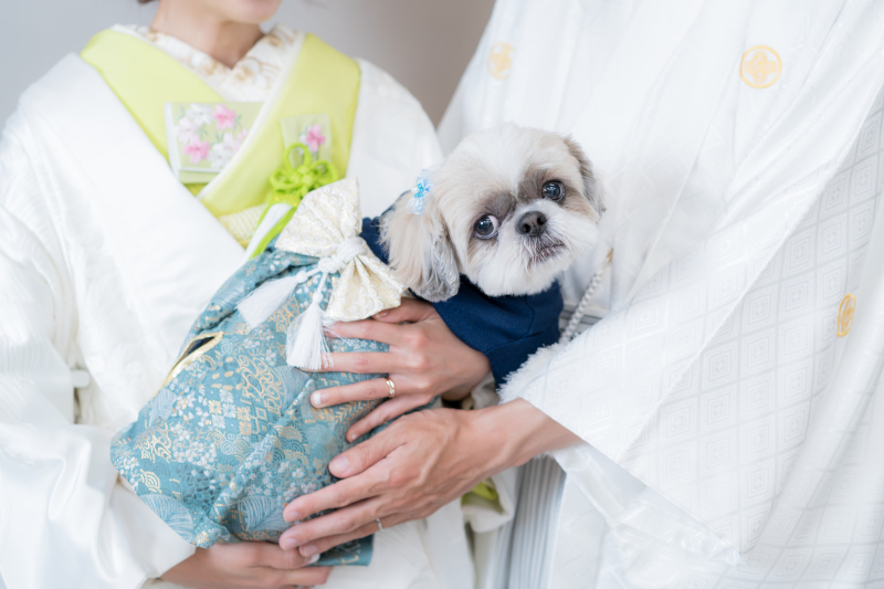 MaiBRIDE天白_両親の衣装がある