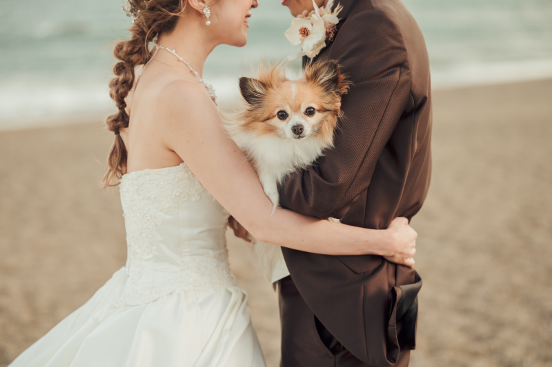 MaiBRIDE天白_海で撮影できる